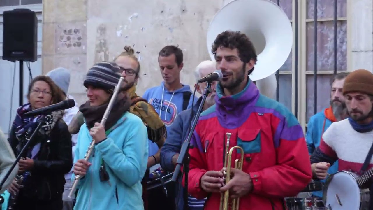 Les oiseaux de trottoir, sur le marché de Dijon