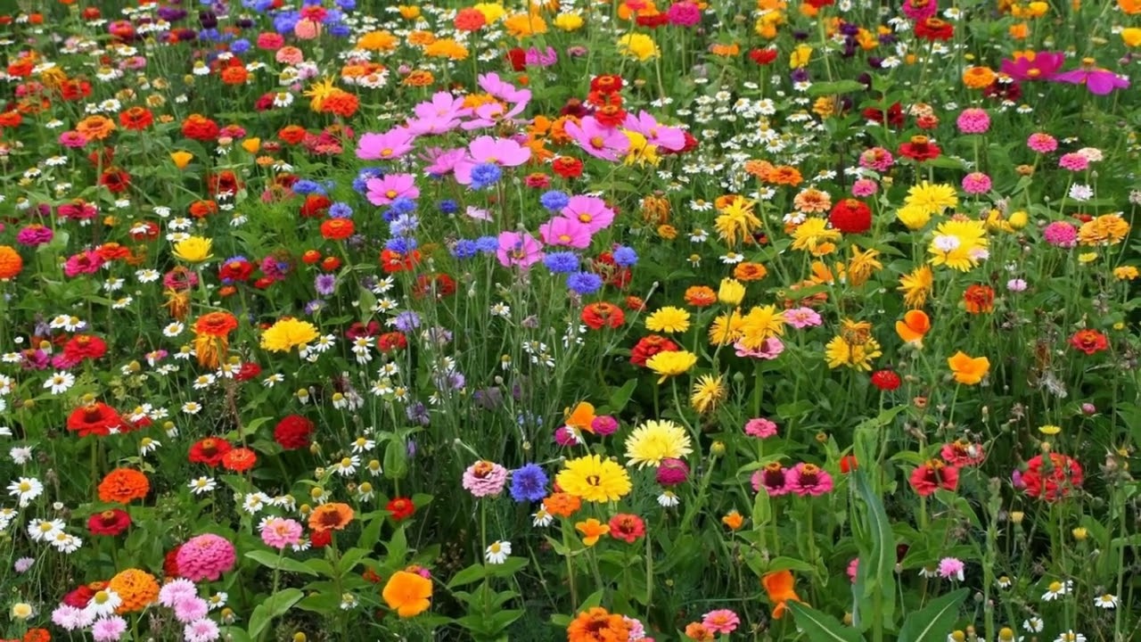 Poema: Primavera en Eaton Hastings.