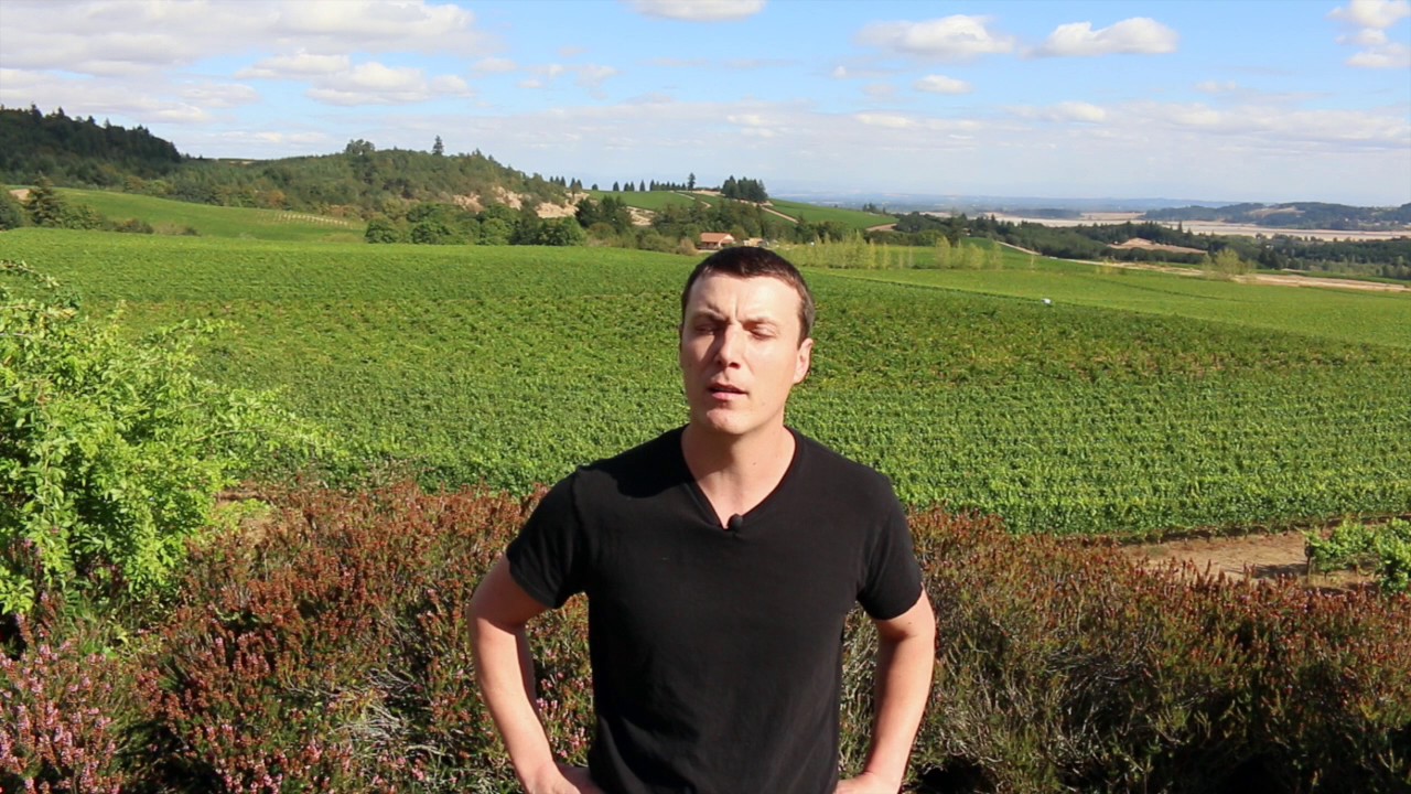 The Eola-Amity Hills AVA & climate change in Oregon: interview Bethel Heights winemaker Ben Casteel