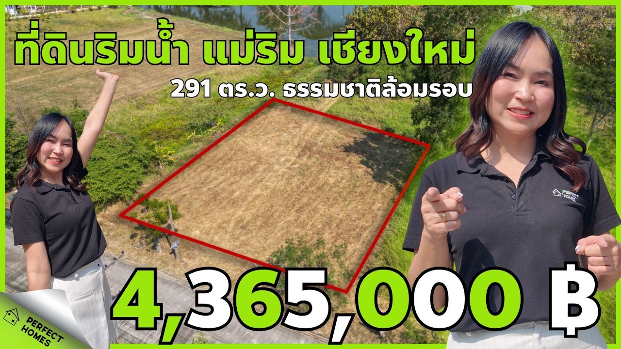 ที่ดินขายเชียงใหม่ แม่ริม แปลงสวย ติดริมน้ำ เนื้อที่ดิน 291 ตร.ว ราคา 4,365,000บาท #ที่ดินเชียงใหม่