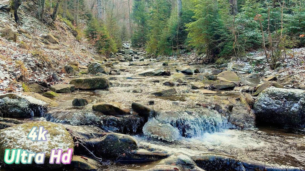 4K Crystal Clear Mountain Stream | Relaxing Nature Sounds #nature #relaxing #water