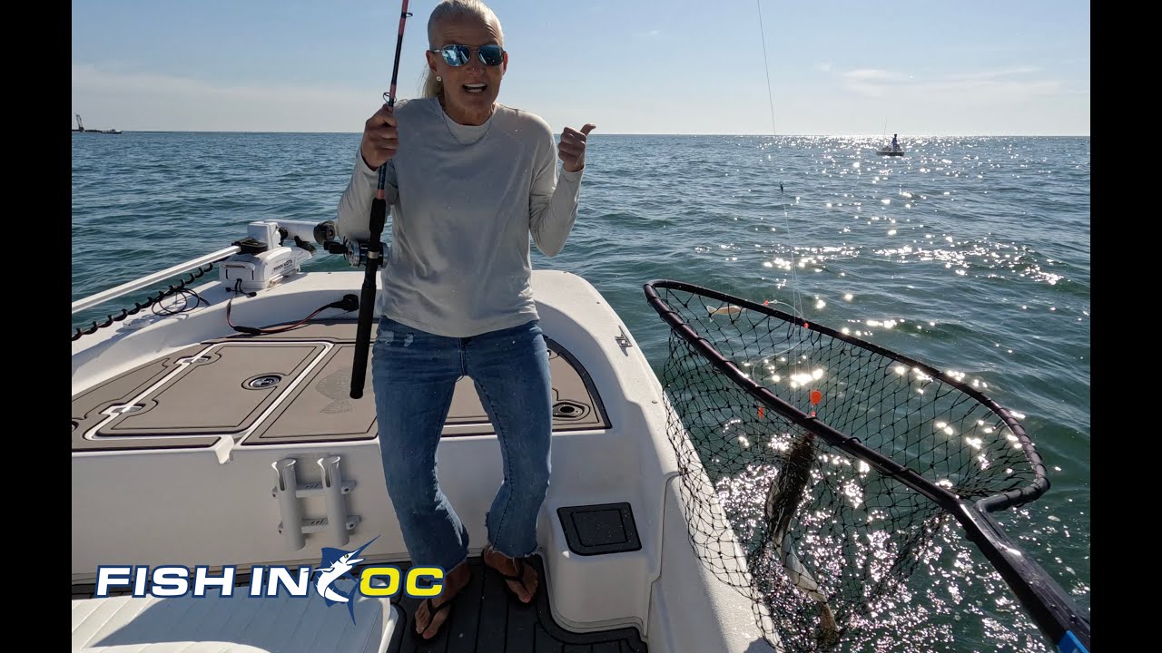 Chaos Erupts - OC's BEST Flounder Bite in YEARS!!! How to flounder fish OC, MD- tips, rigs, baits! 🔥