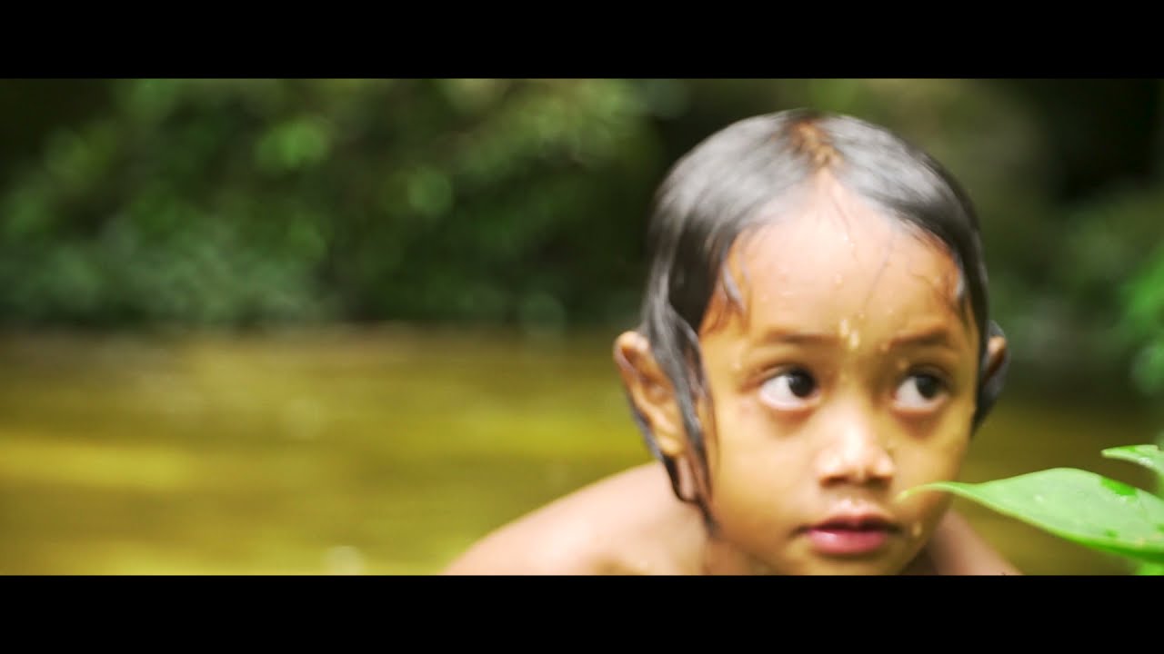 Rain Forest Inn, Malay Aborigines - welcome to the jungle.