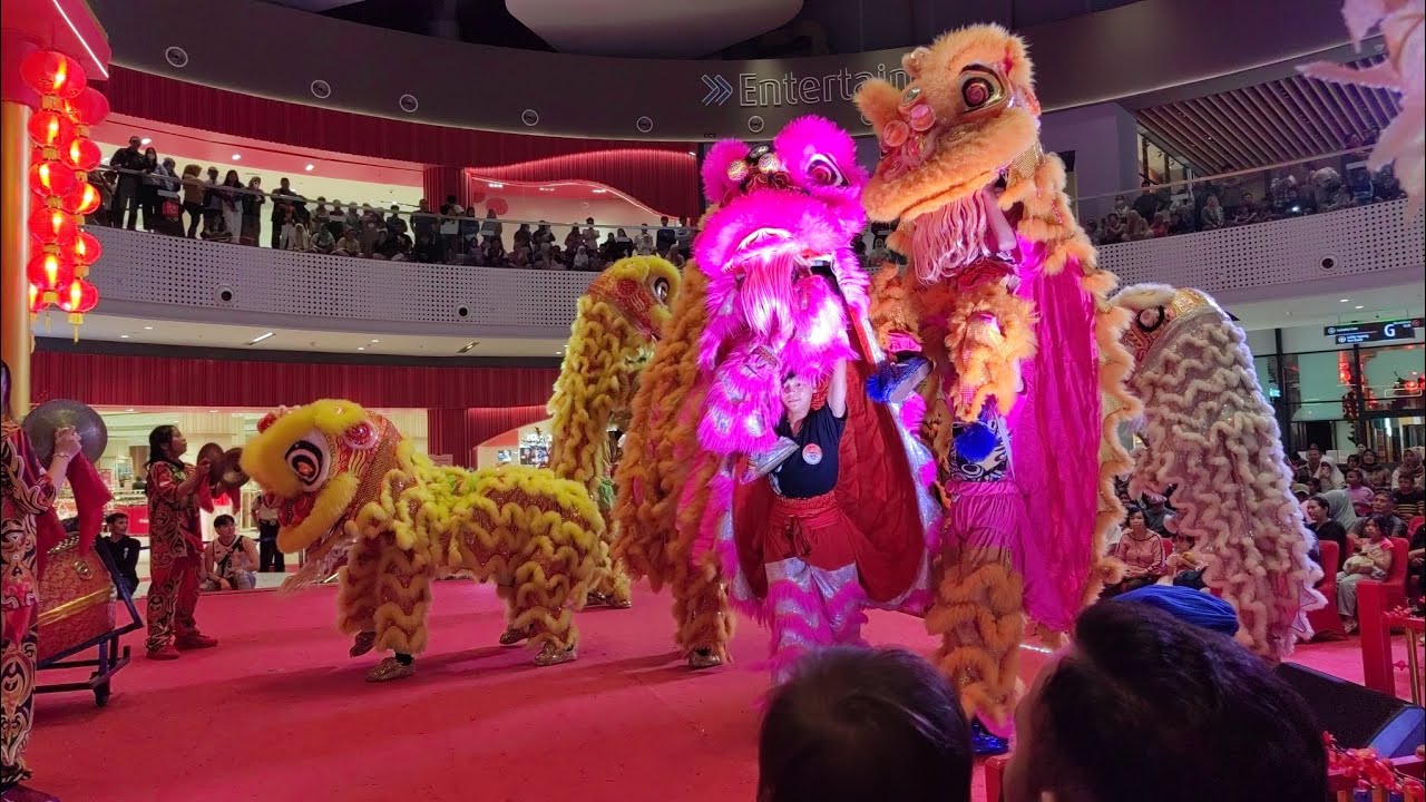 SERU !! Atraksi 6 Barongsai Tonggak di Summarecon Mall Bandung | Chinese New Year 2025