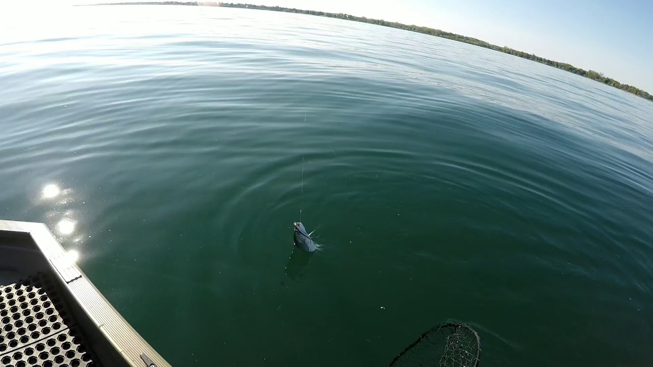 SMALL BOAT SALMON TROLLING TACTICS, Spring, Lake Ontario