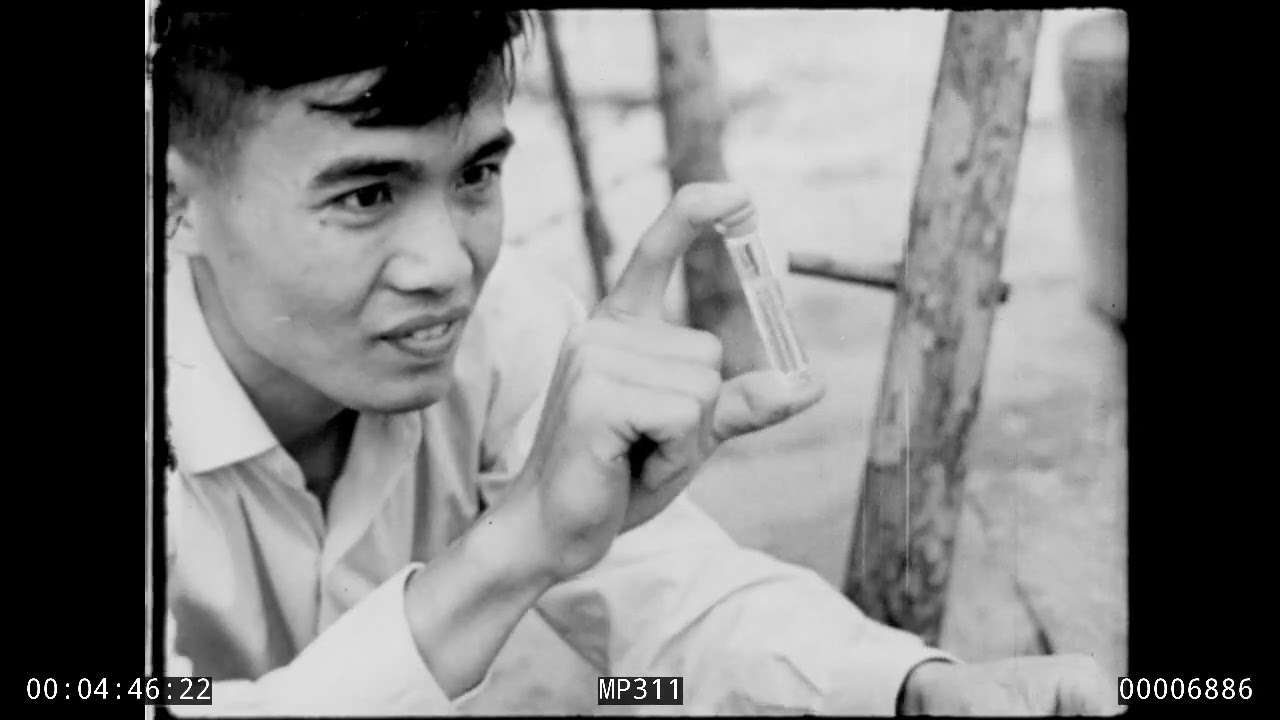 Cholera Epidemic in South Vietnam, HEW, MP311 (1280x720)
