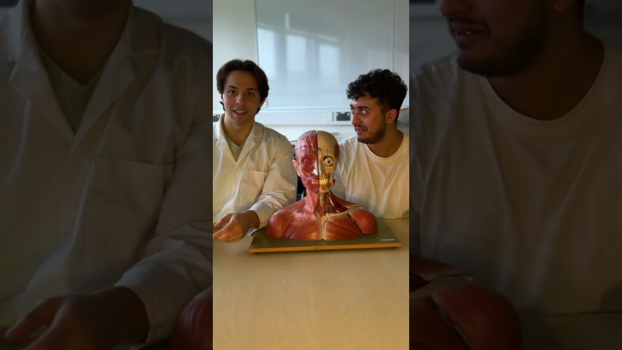 Medic quiz ! How many did you get correct #anatomy #medical #mbbs #medicine