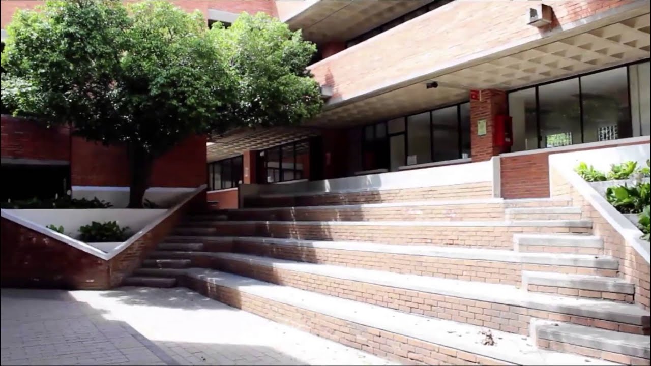 Liceo del Valle (Video Institucional)