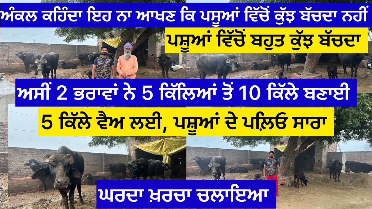 ਅੰਕਲ ਕਹਿੰਦਾ ਇਹ ਨਾ ਕਹੋ ਕਿ ਪਸੂਆਂ ਵਿੱਚੋਂ ਕੁੱਝ ਬੱਚਦਾ ਨਹੀਂ,ਪਸ਼ੂਆਂ ਵਿੱਚੋਂ ਬਹੁਤ ਕੁਝ ਬੱਚਦਾ ਅਸੀਂ 2 ਭਰਾਵਾਂ ਨੇ…