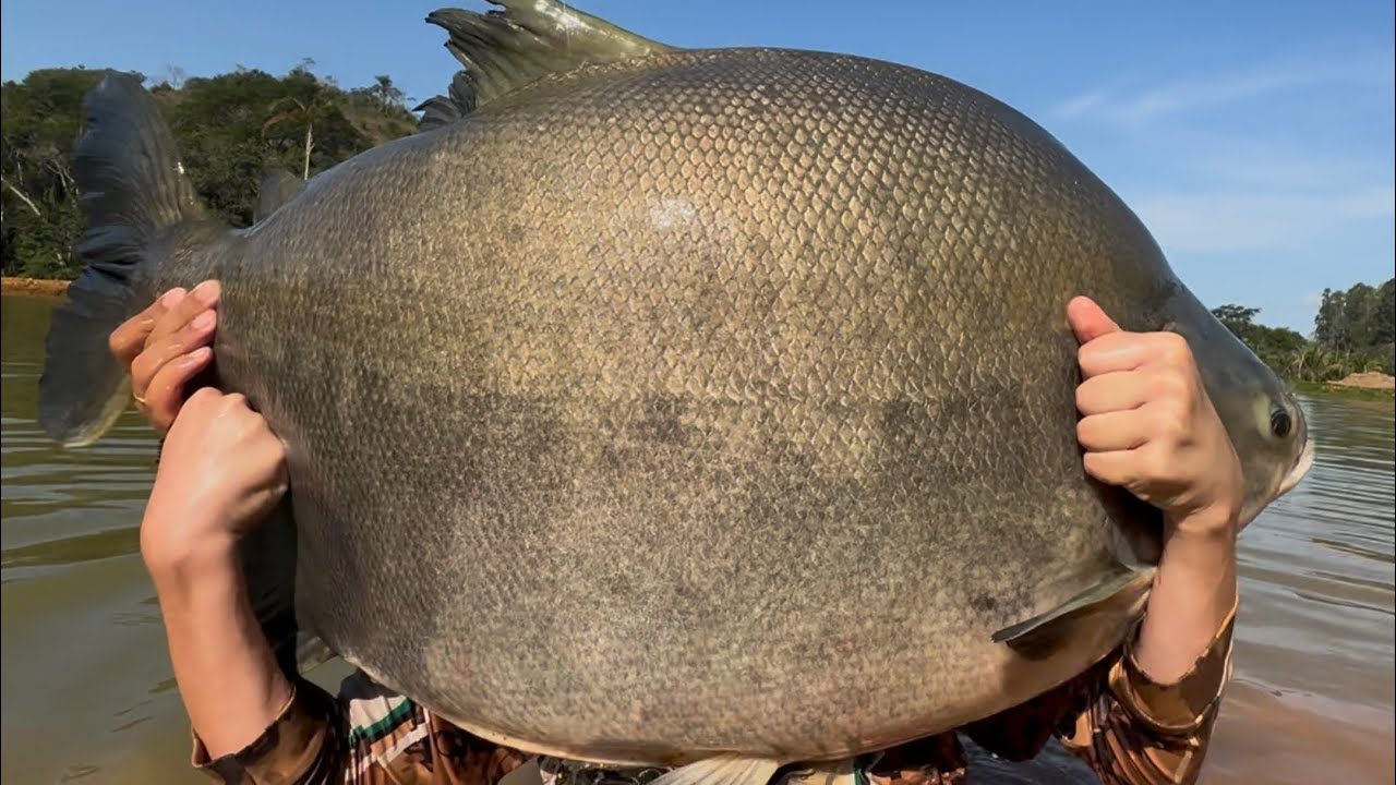 FOMOS PESCAR COM NOSSO MAIOR FÃ E ELE FEZ A MONSTRA!!! 