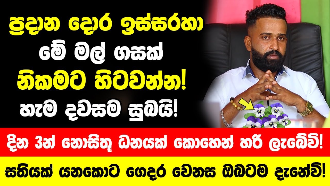 ප්‍රදාන දොර ඉස්සරහා මේ ගසක් නිකමට හිටවන්න! | හැම දවසම සුබයි! දින 3න් නොසිතූ ධනයක් කොහෙන් හරි ලැබේවි!