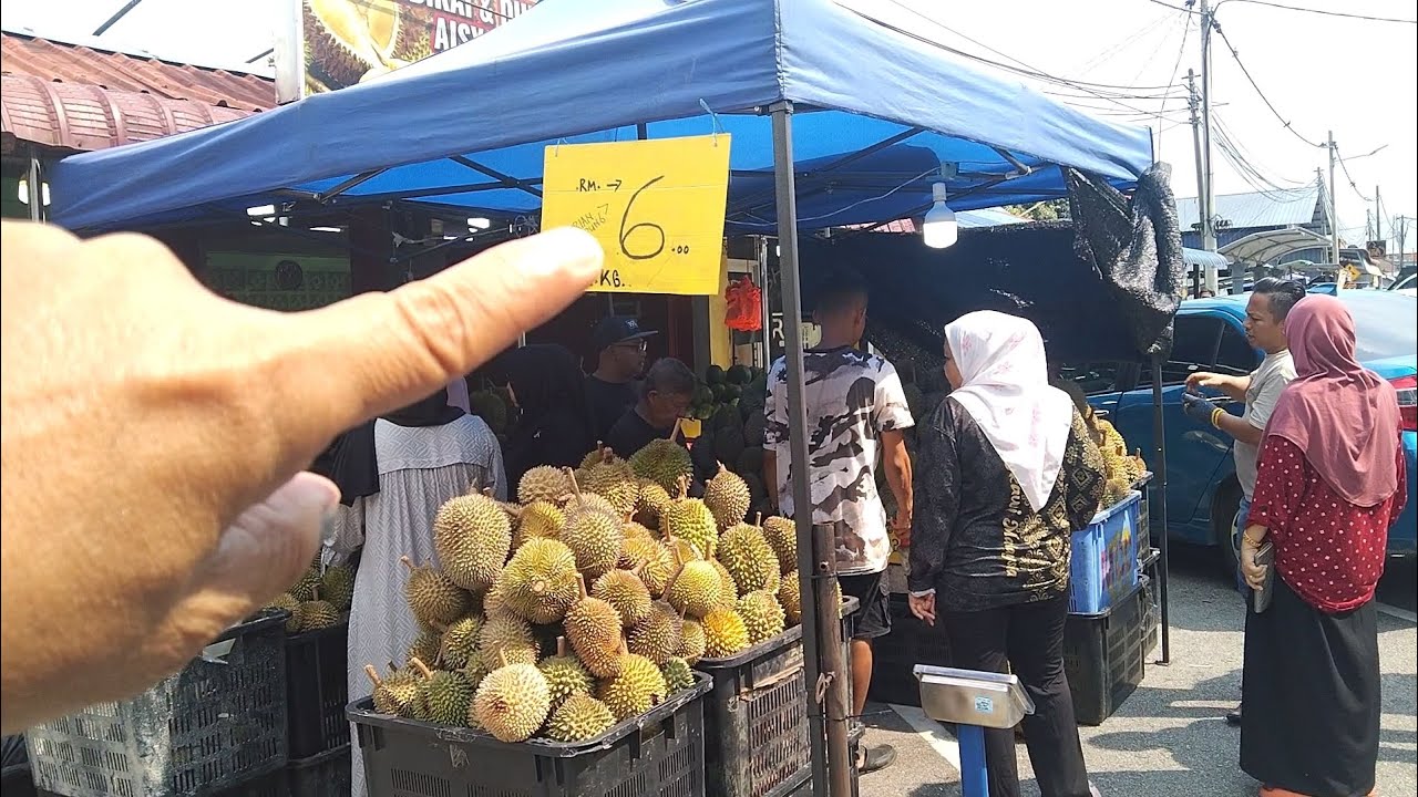 RM6.00 DURIAN JEMENTAH | Terus Dari Dusun Tiap Hari Durian Baru Tembikai Durian Fresh Aisyah Family