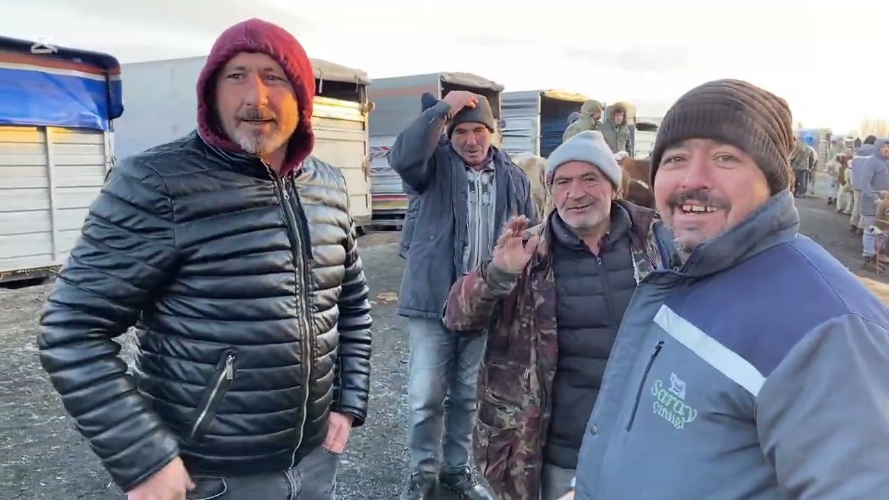 ŞARKIŞLA HAYVAN PAZARI 14 ARALIK .! Alıcı yok haliyle el sıkışan da yokkkk .!!! #SİVAS