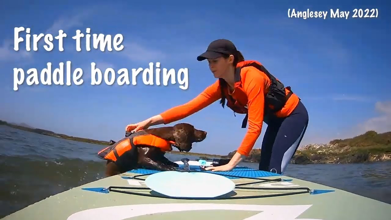 Quick Montage of First Time Paddle Boarding with Dog in Anglesey, Wales | May 2022 | Roz