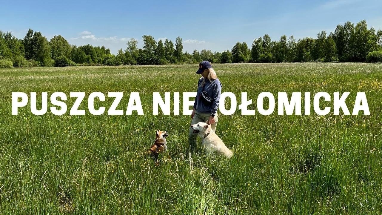 Puszcza Niepołomicka - nasza trasa - Spacery z psem Kraków