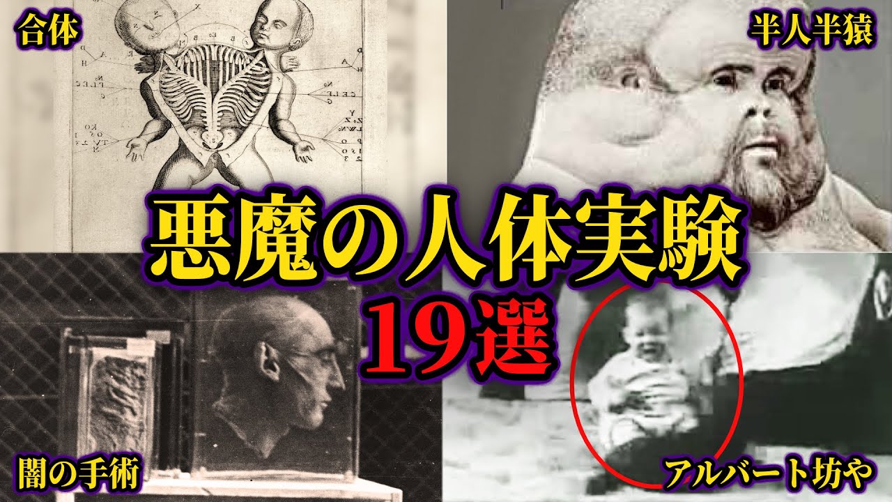 【総集編】悪魔的思考の人体実験19選【ゆっくり解説歴史】