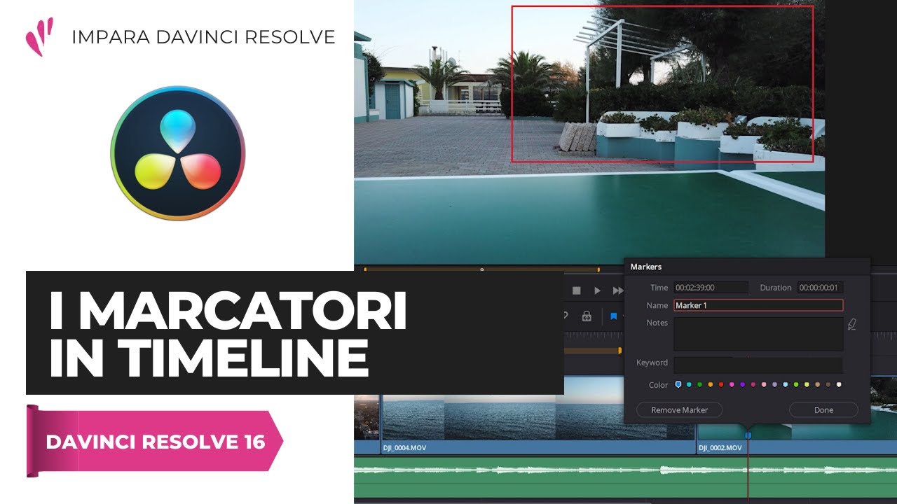 I MARCATORI in timeline | Edit | Davinci Resolve