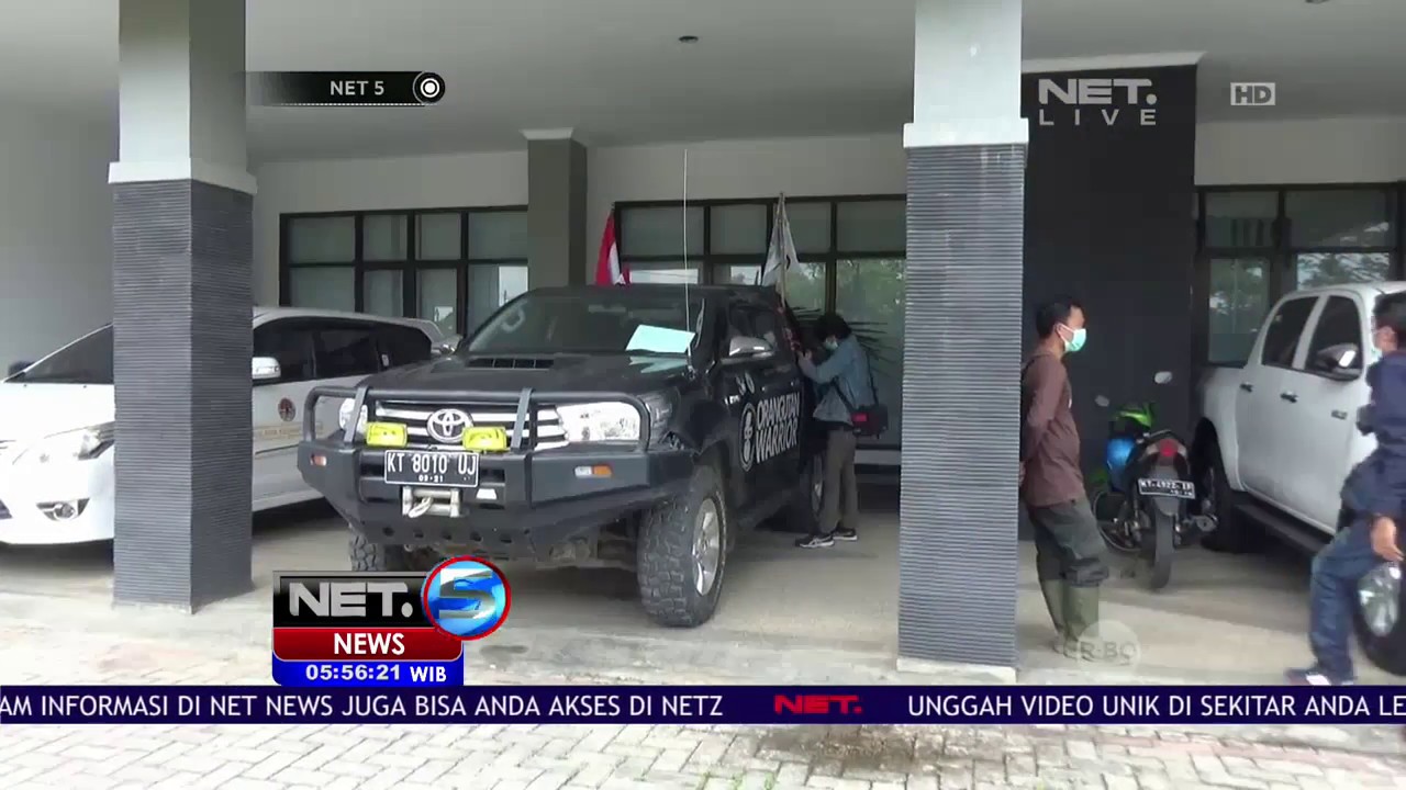 Orang Utan yang Telah Menjalani Rehabilitasi Dilepasliarkan - NET 5