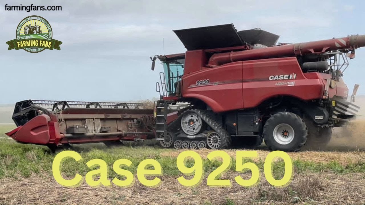 Eythorne Case 9250 Wheat Harvest August the 21st