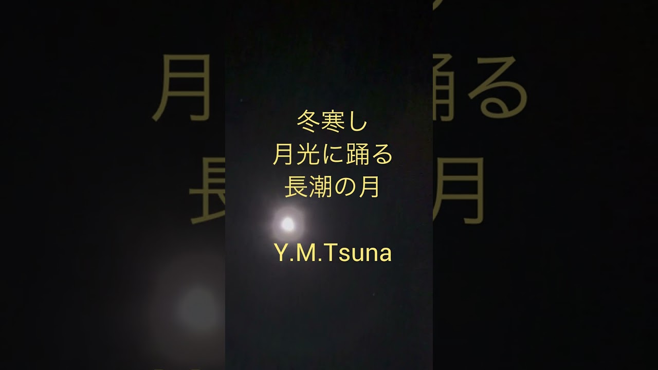 Y.M.Tsuna : 冬寒し月光に踊る長潮の月