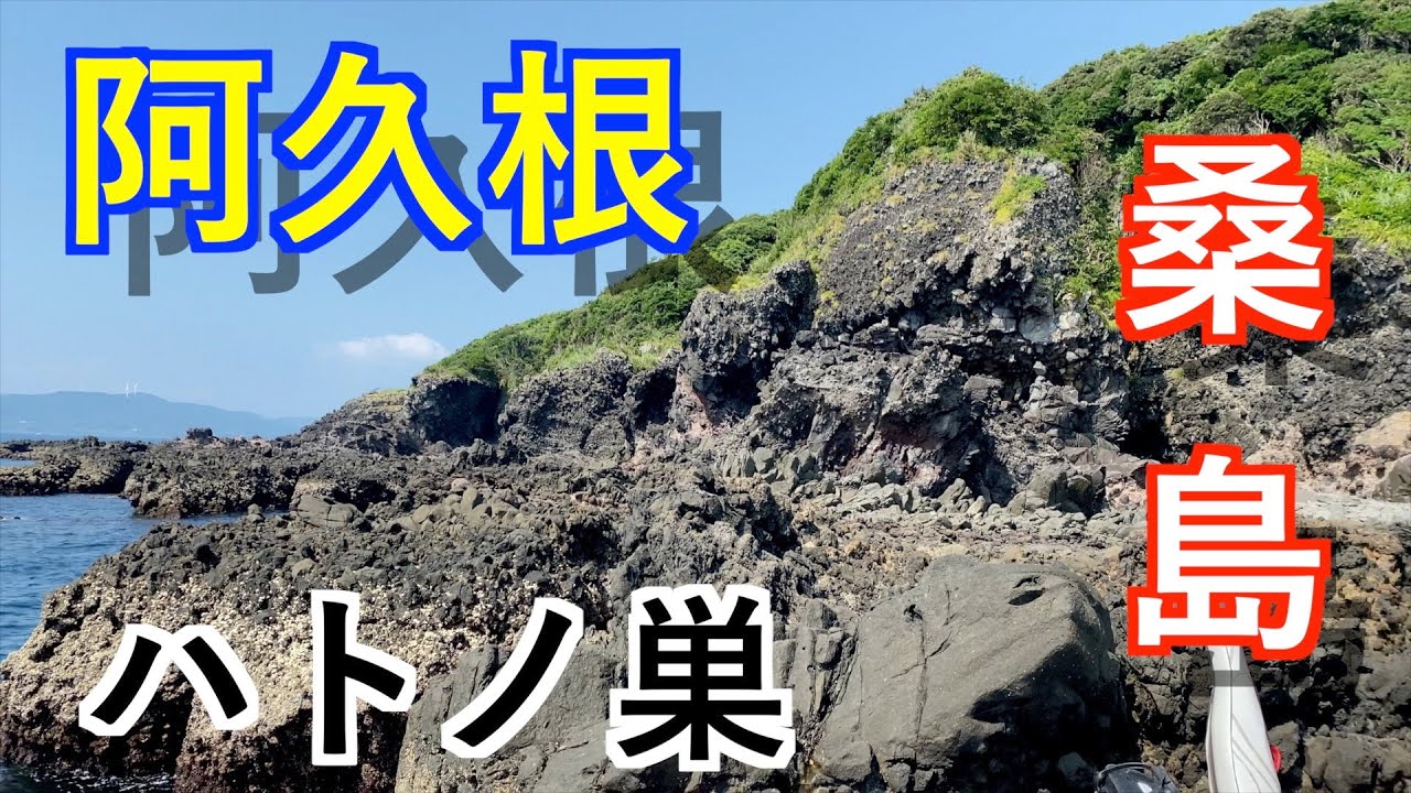『阿久根』夏の桑島！久しぶりのハトノ巣挑戦！