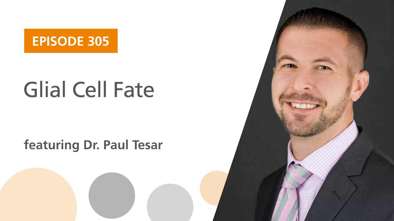Glial Cell Fate featuring Dr. Paul Tesar | The Stem Cell Podcast