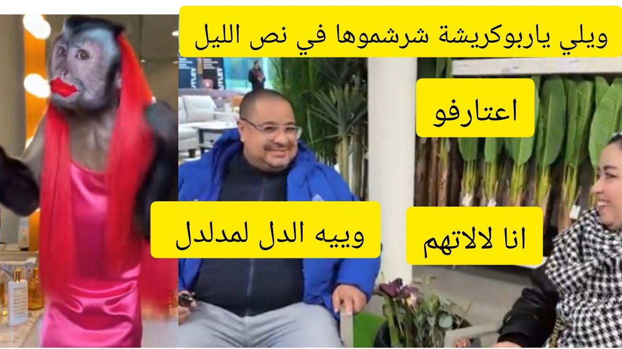 دبا من الخير شكون الي بجوادها لوبلا ولا الام الفاشلة حطوه ليها فسطل والي جا يطل في نص الليل سكتتتي🤣🦟