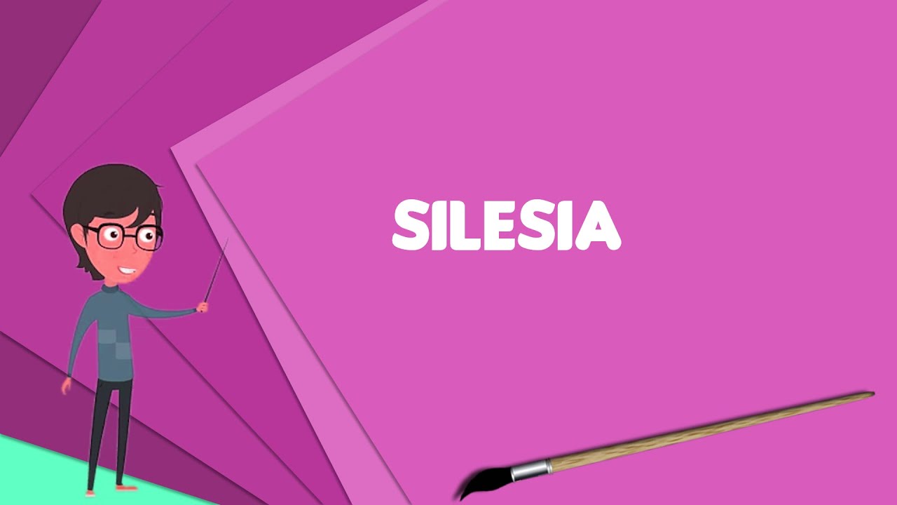 What is Silesia? Explain Silesia, Define Silesia, Meaning of Silesia
