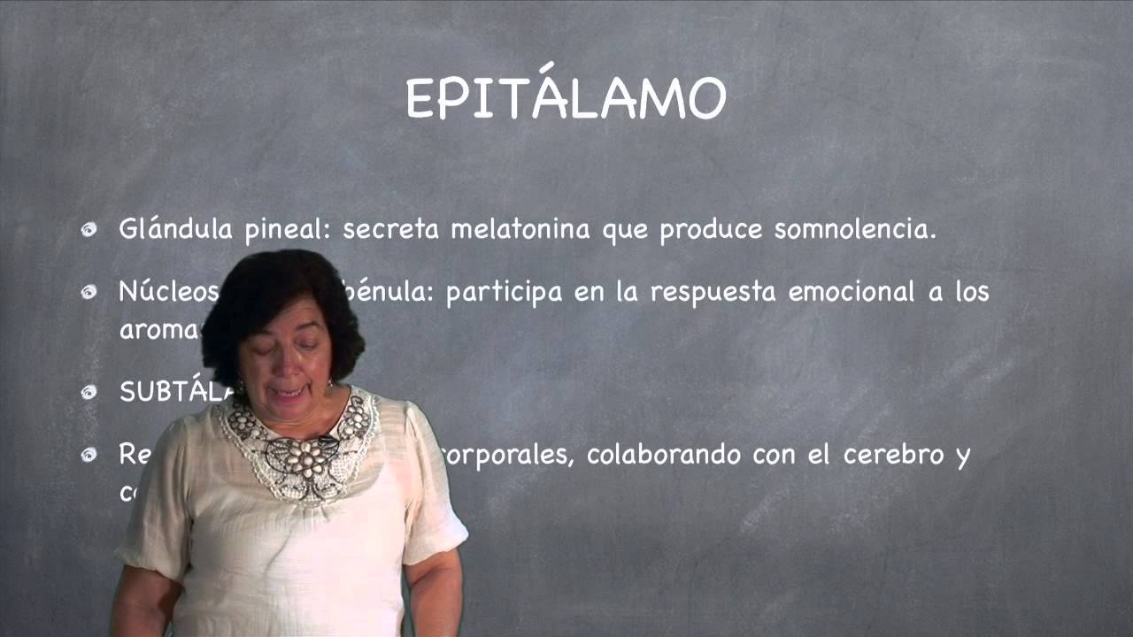 Clase 02 - Morfofisiolog&iacute;a - Licenciatura en Enfermer&iacute;a - FACIAS -UNCo