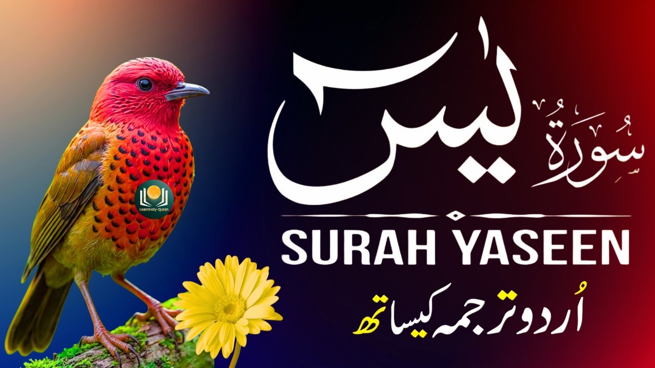 Surah Yaseen with Urdu Translation | Heart Touching Recitation by Qari Mansoor Ghaznavi | Ep056