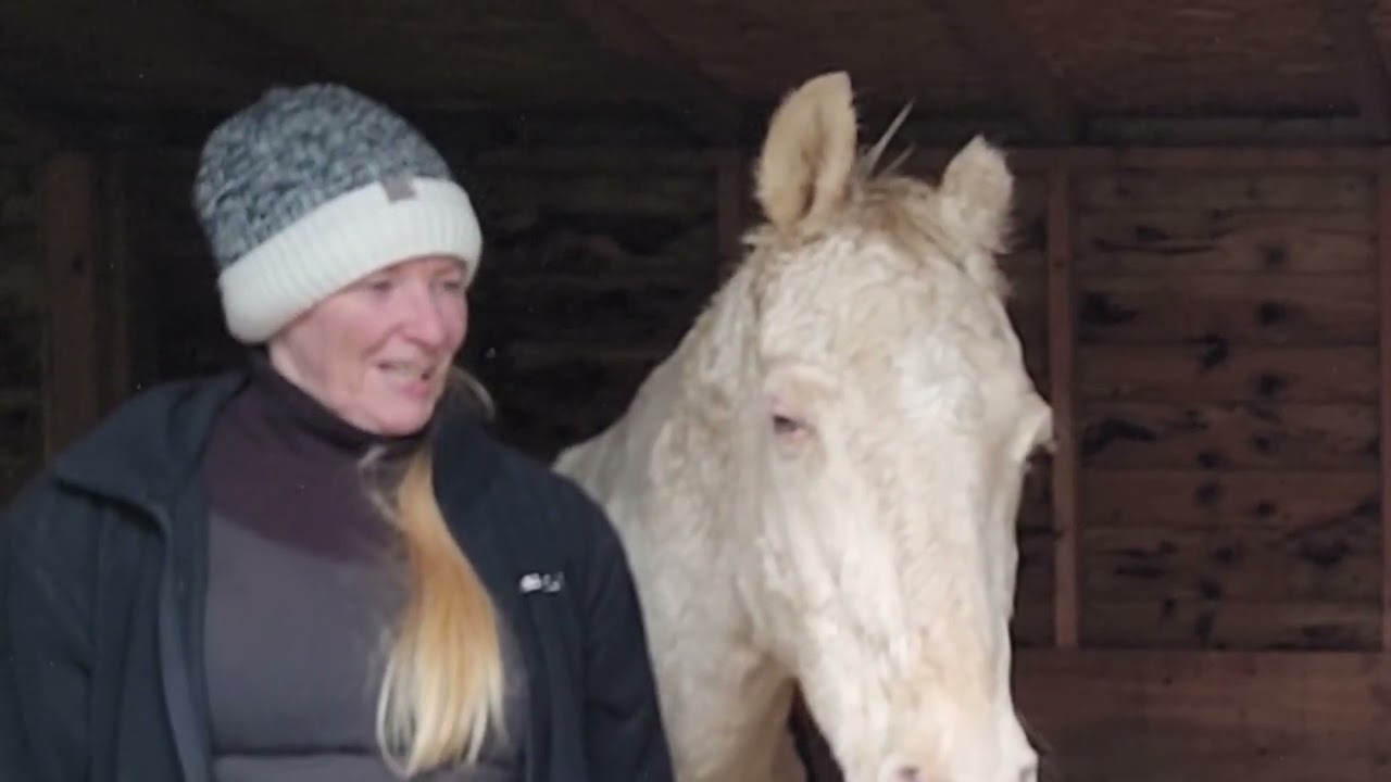 Maz Scrathes. Horses love being pampered