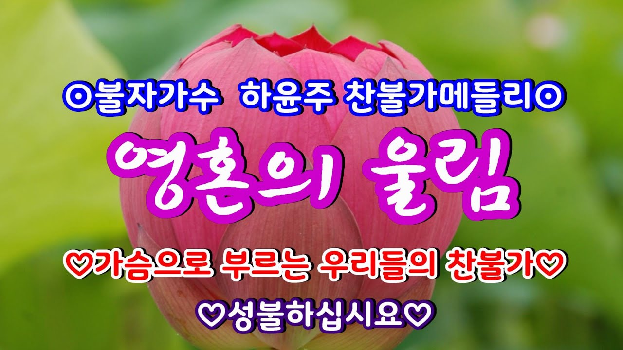 #영혼의울림#불자가수#하윤주#찬불가메들리#전곡자막#가슴으로부르는우리들의찬불가🌹2021+01+30🌹