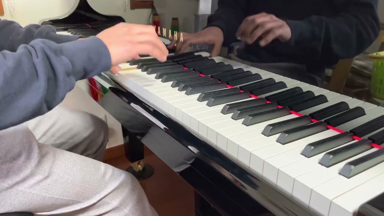 Donna lee solo piano