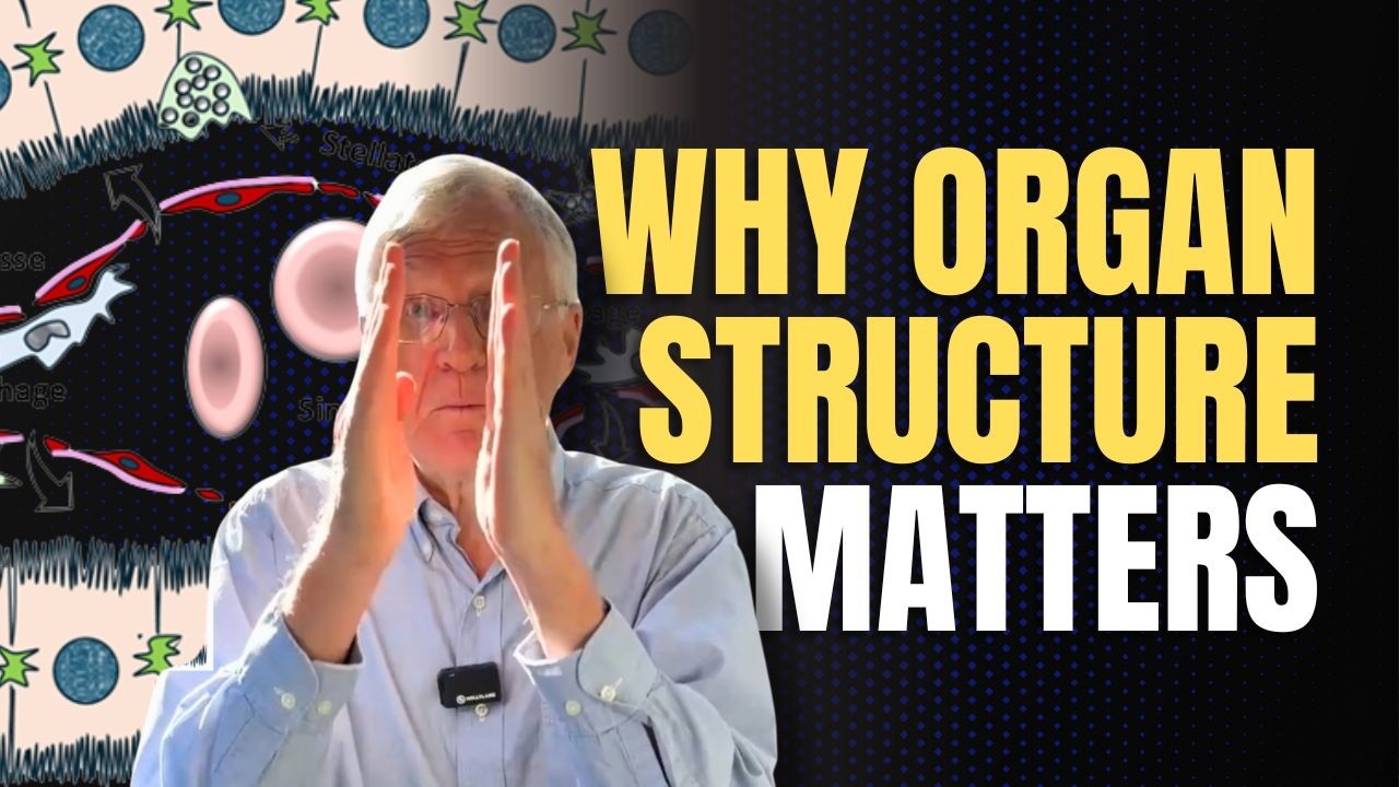 How to Actually Learn Medicine: Structure, Function, and True Mastery