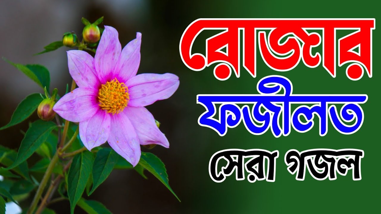 পবিত্র মাহে রমজানের সুপারহিট গজল Md Huzaifa Bangla Gojol New Ghazal 