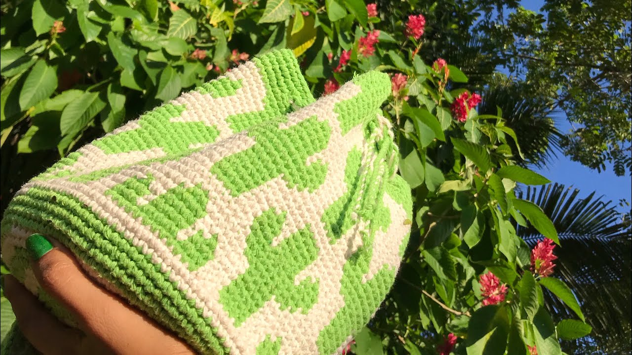 Bolsa de Crochê Cactos (Parte 1)