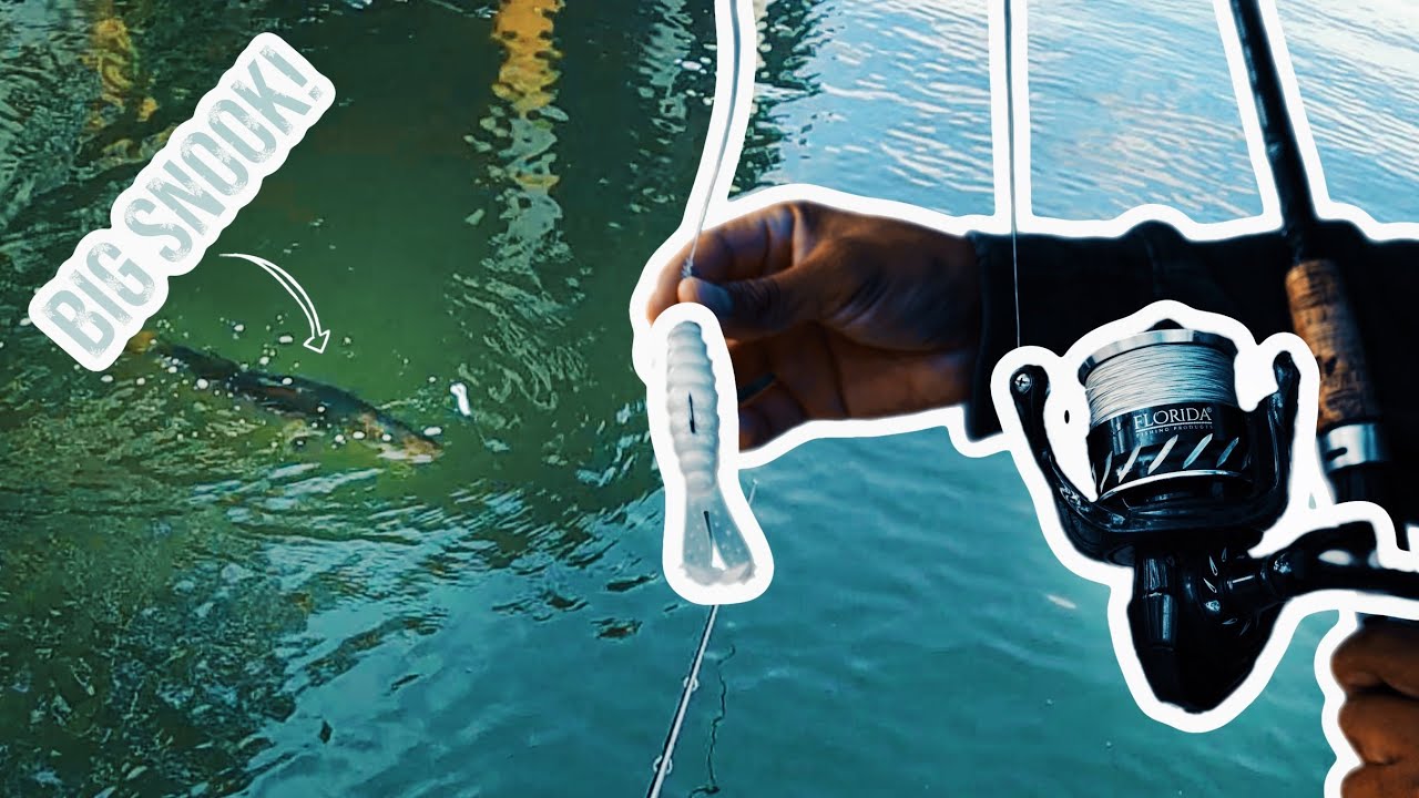 SKIPPING THE ZMAN GOAT FOR BIG SNOOK!