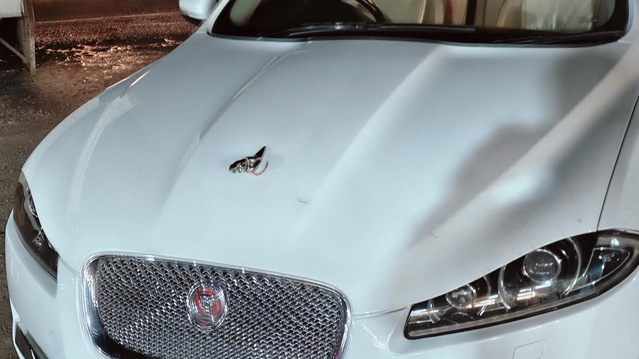 Jaguar XF centre lock problem solve #jaguar #xf #centre #lock #prolem #solve #delhi #to #jaipur
