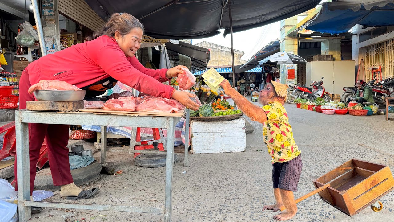 Cutis excited experience most unique dish the world with Dad