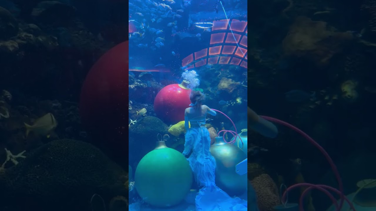 ￼ I found a mermaid🤷🏻‍♂️