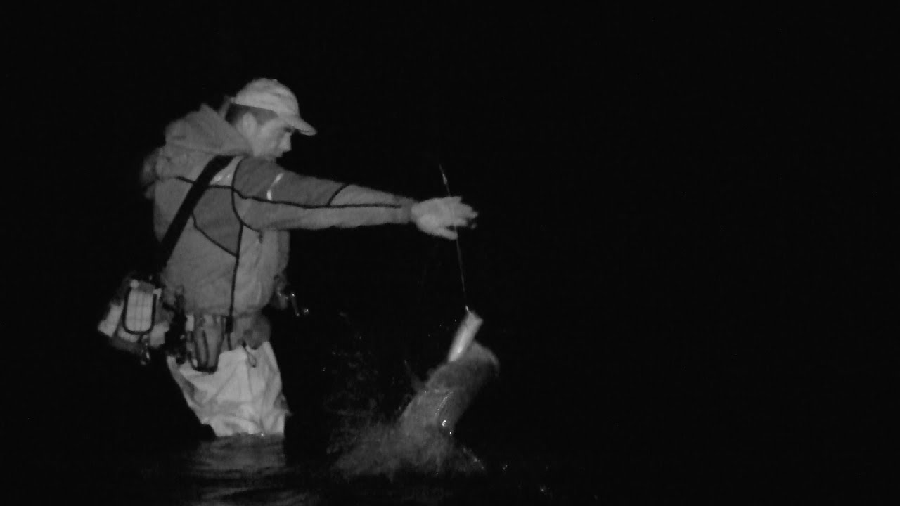 Surf Fishing 101 Episode # 8 Montauk Night plugs