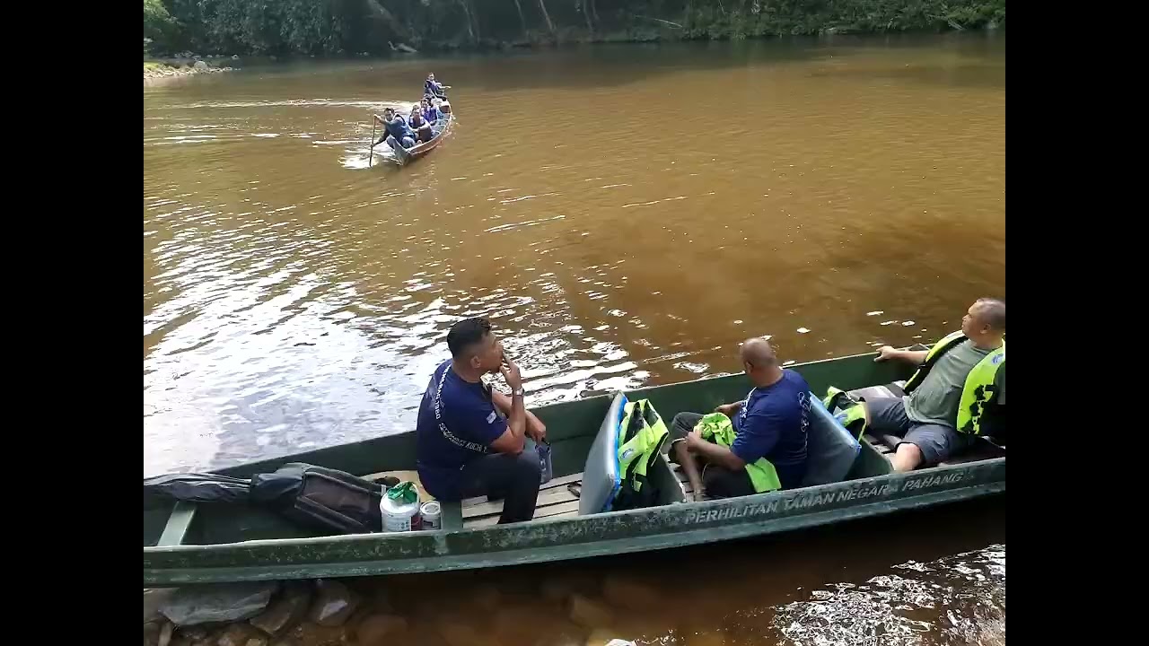 Lubuk Tenor, Santuari Kelah Taman Negara #2472