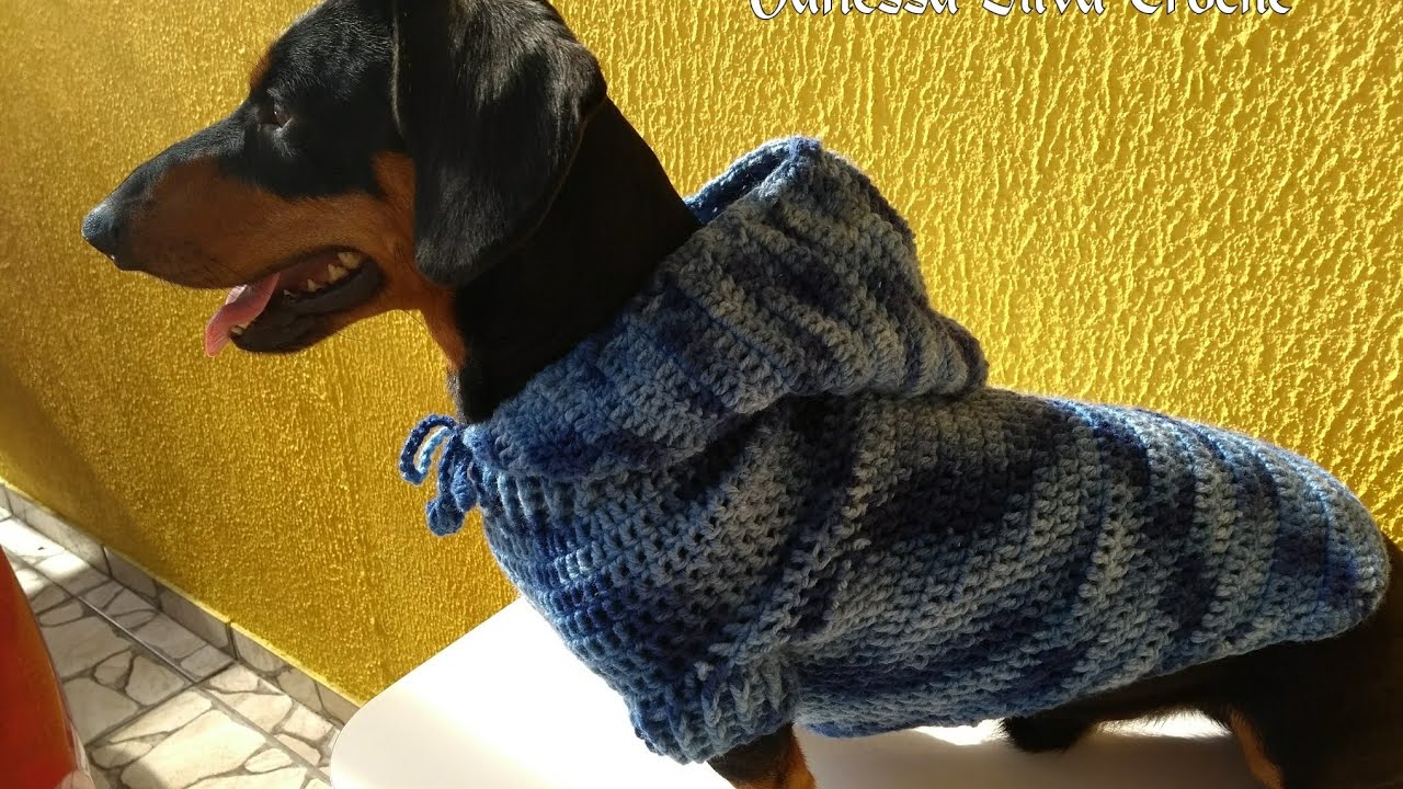 Roupa Pet com Capuz em Crochê/ Diy Crochet