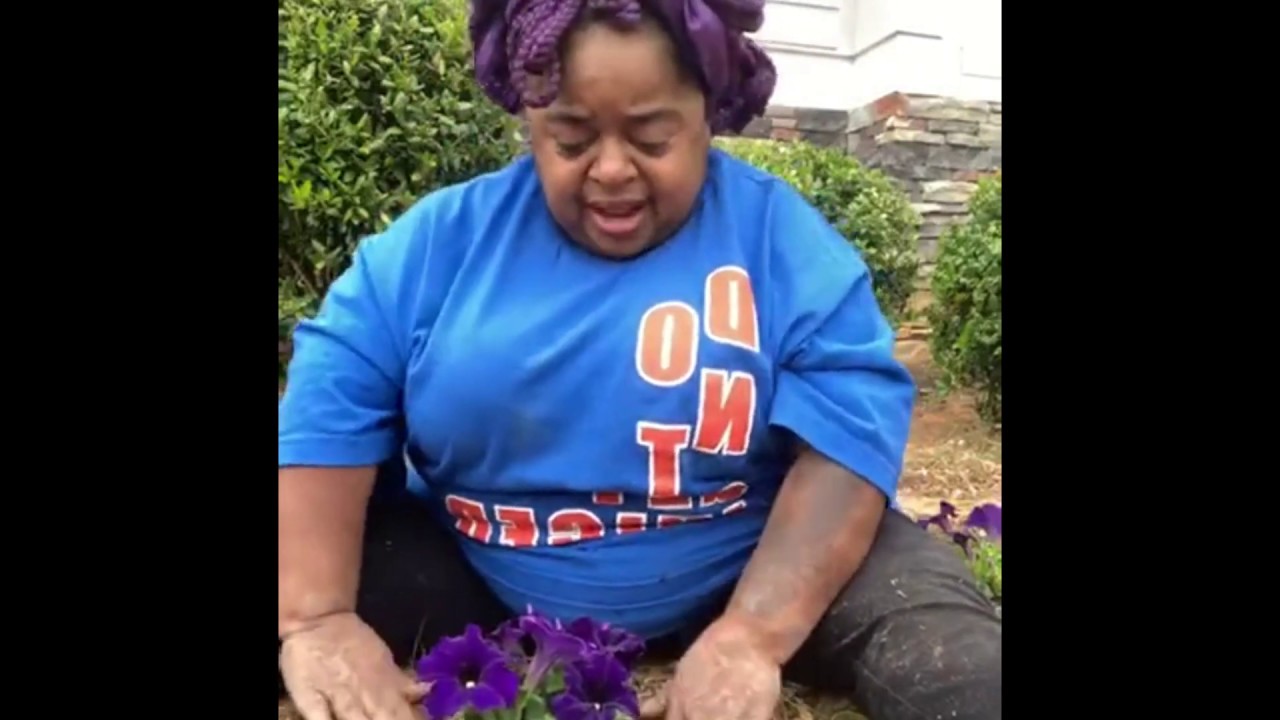 Gardening with Juicy - Part 1