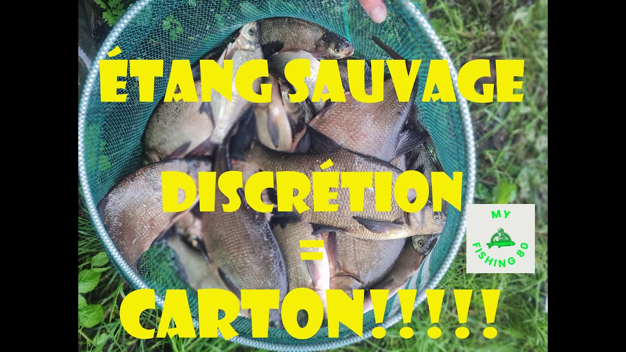 ETANG SAUVAGE, la discrétion est ESSENTIELLE. Merci au Bait Dropper.