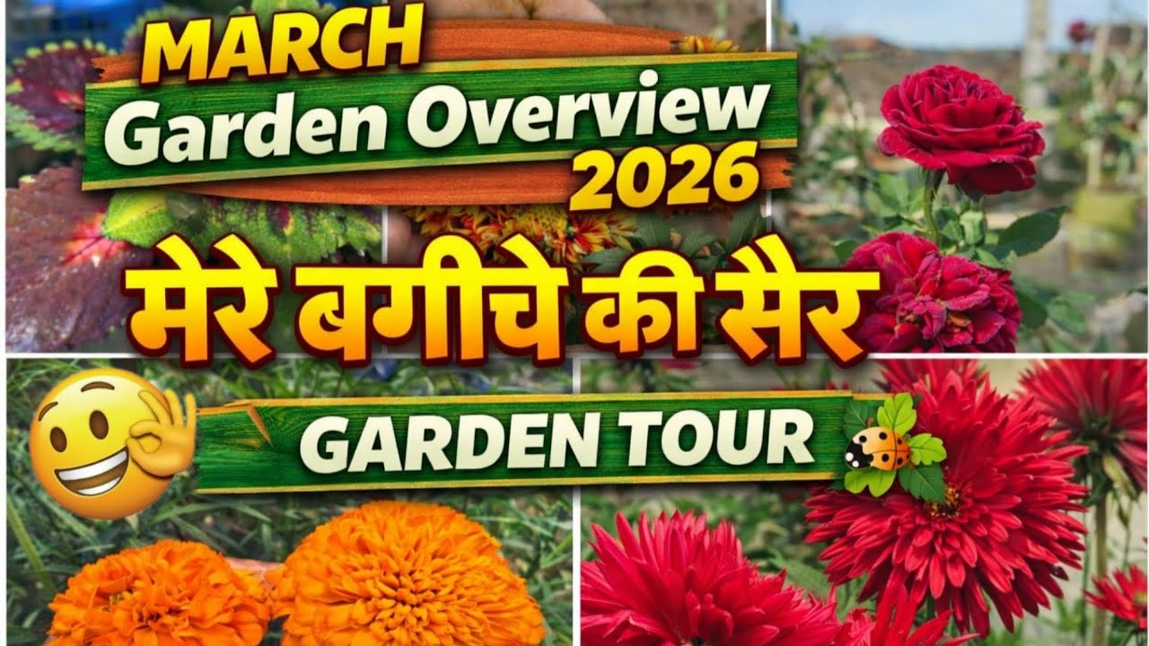 March Garden Overview 2026 | Garden Tour 2026 | 50+ पौधे🌱 | पूरा गार्डन टूर 🌿 | Garden Overview🌿#yt 