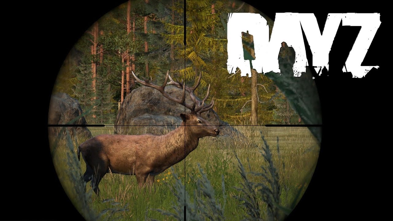 DayZ Survival | Deerisle Flight Quest #12