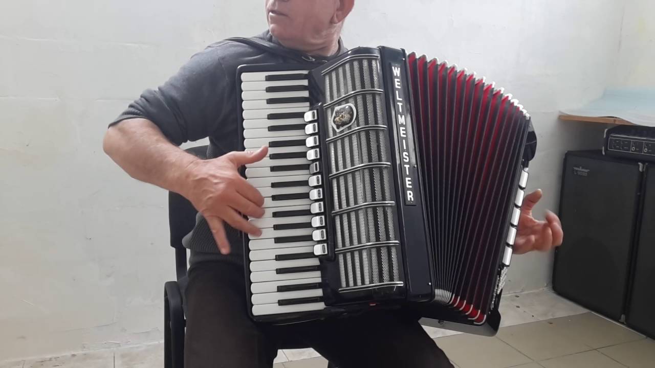 Weltmeister Cantus IV(1)