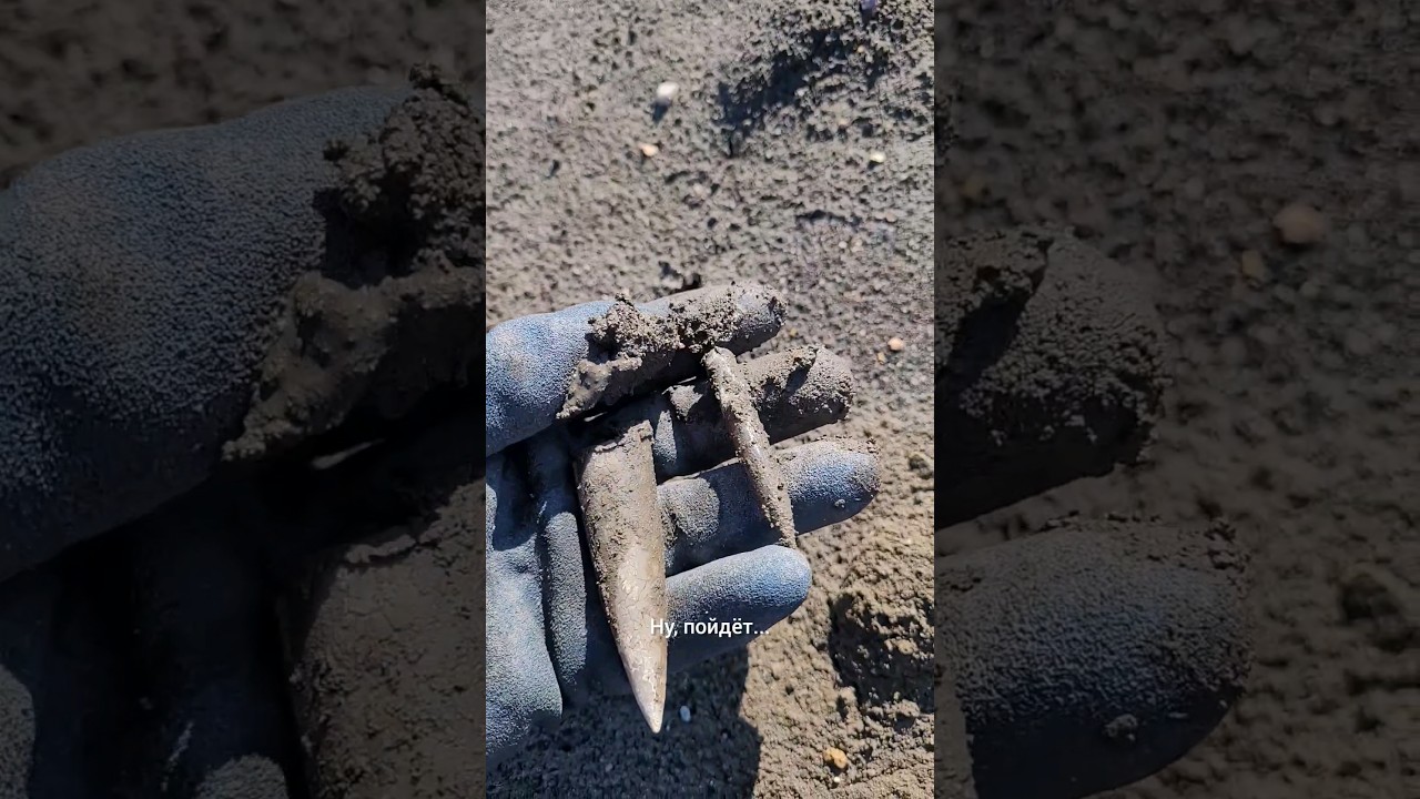 На этом видео можно видеть, как усеяны Пески белемнитами. Кажется, что их там неисчерпаемый запас.