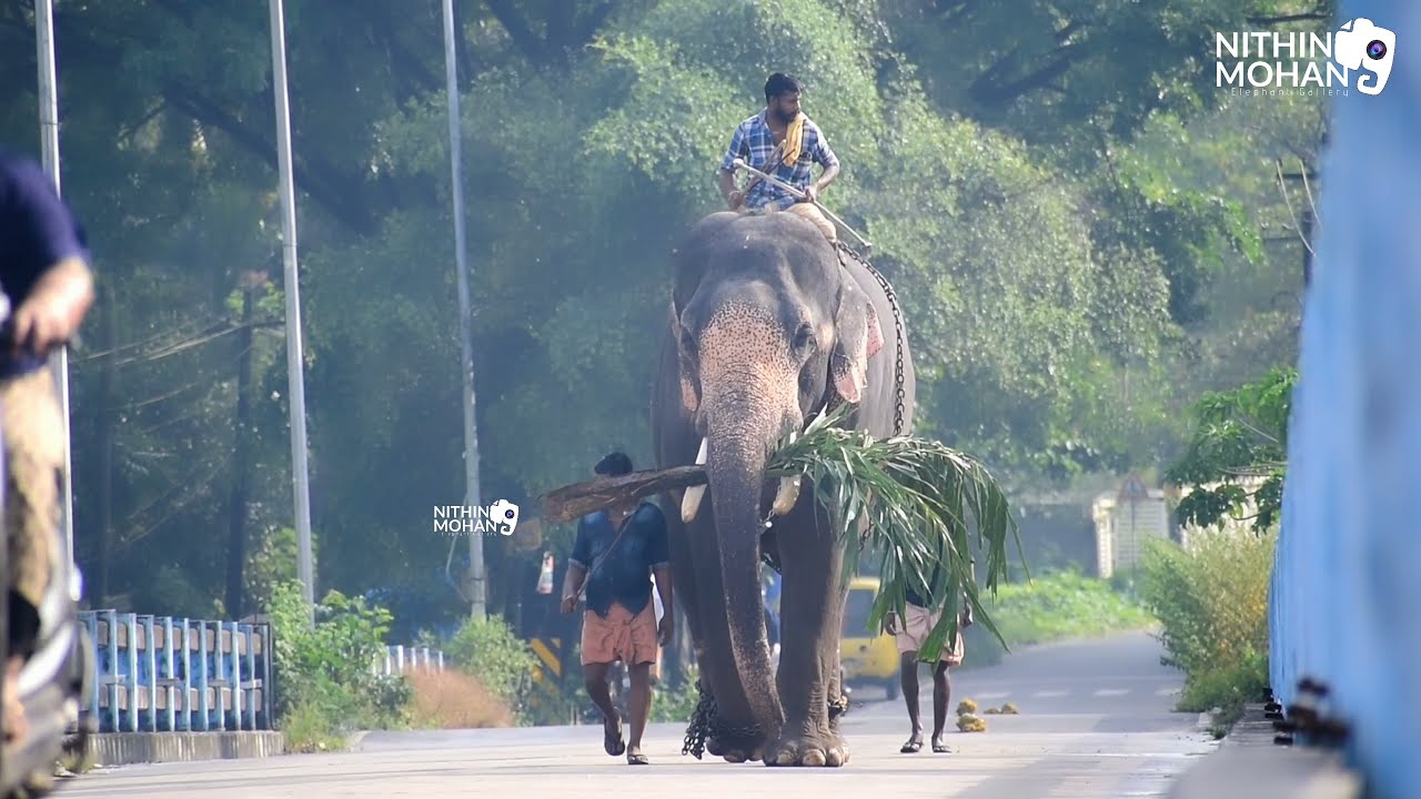 karuvanthala ganapathy
